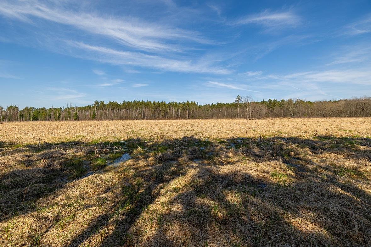 0 Prairie Road East Osseo, WI 54758 - Photo 7 of 79