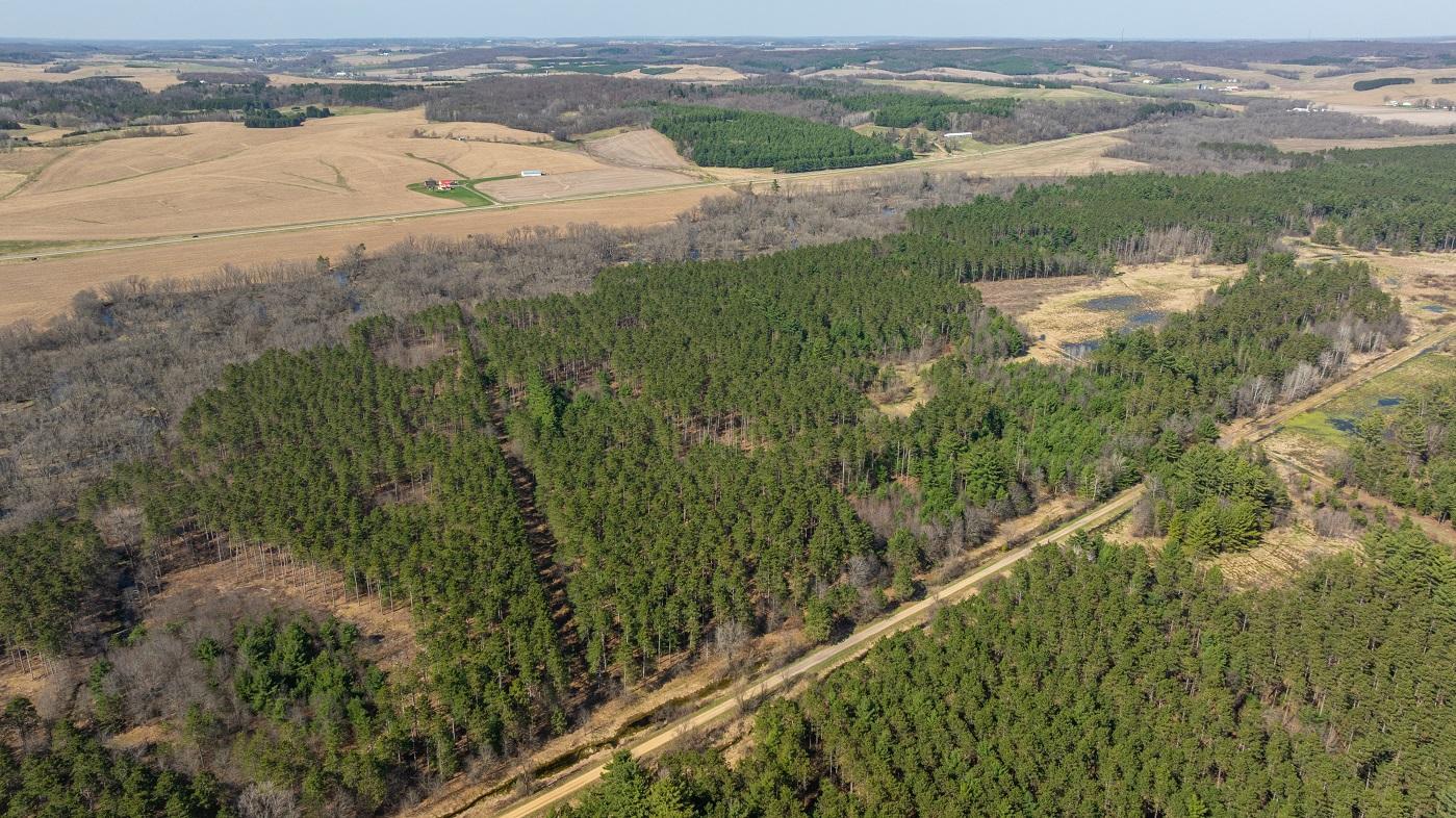 0 Prairie Road East Osseo, WI 54758 - Photo 76 of 79