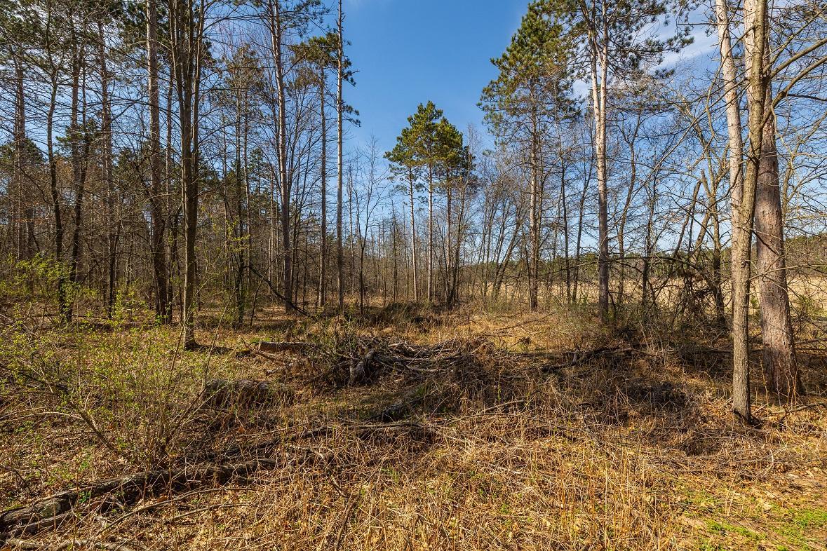 0 Prairie Road East Osseo, WI 54758 - Photo 10 of 79
