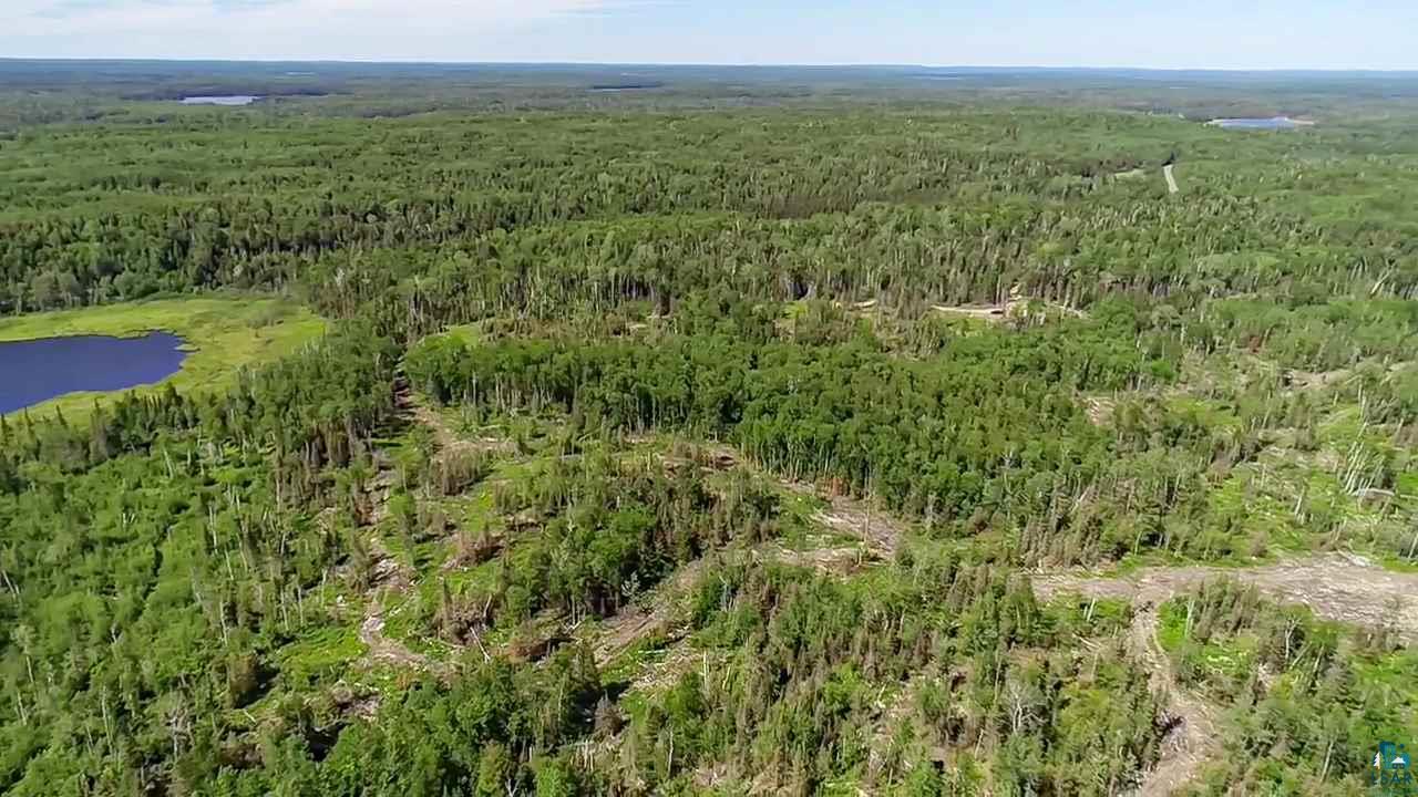 Tbd Fernberg Road Ely, MN 55731 - Photo 11 of 31