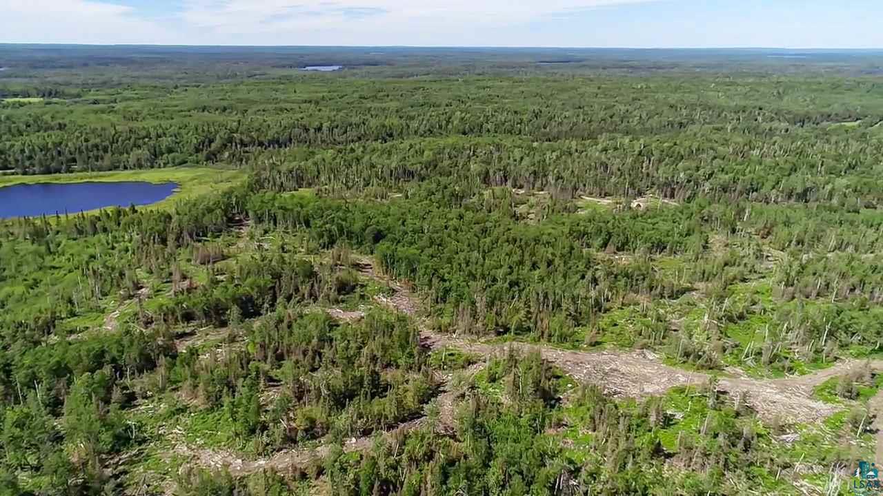Tbd Fernberg Road Ely, MN 55731 - Photo 12 of 31