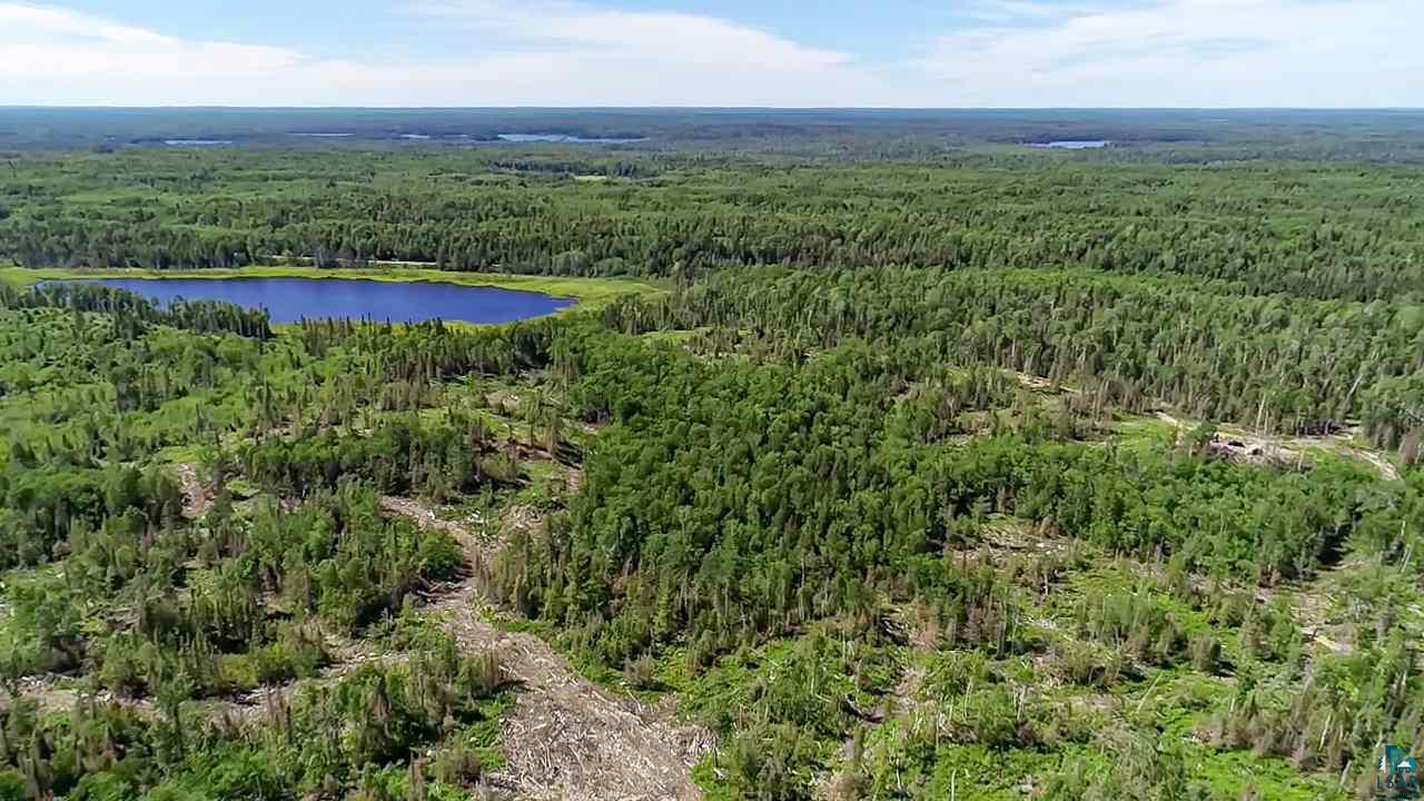 Tbd Fernberg Road Ely, MN 55731 - Photo 13 of 31