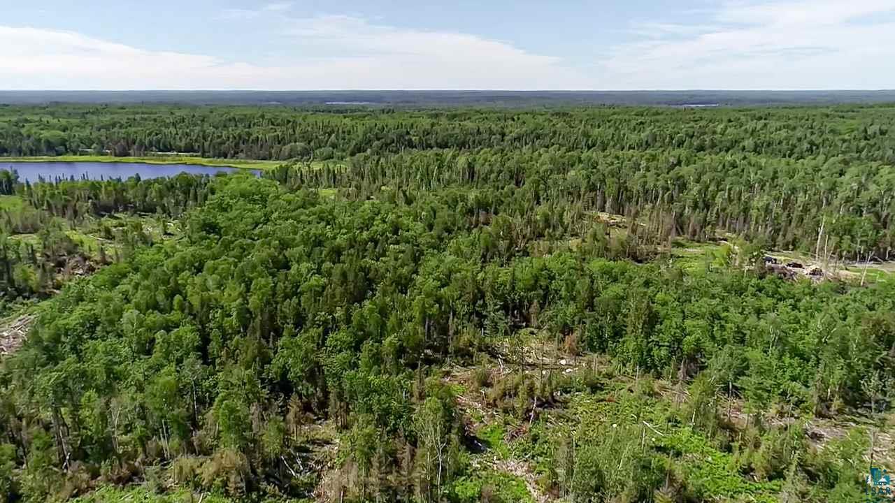 Tbd Fernberg Road Ely, MN 55731 - Photo 14 of 31