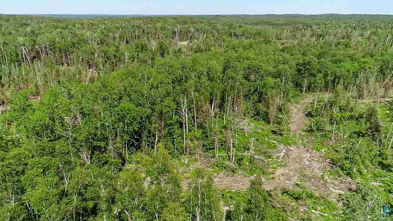 Tbd Fernberg Road Ely, MN 55731 - Photo 17 of 31