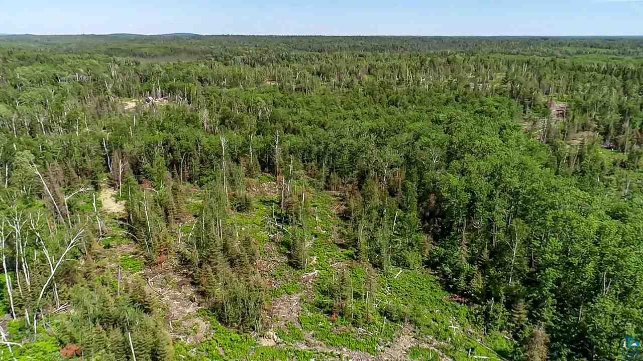 Tbd Fernberg Road Ely, MN 55731 - Photo 18 of 31