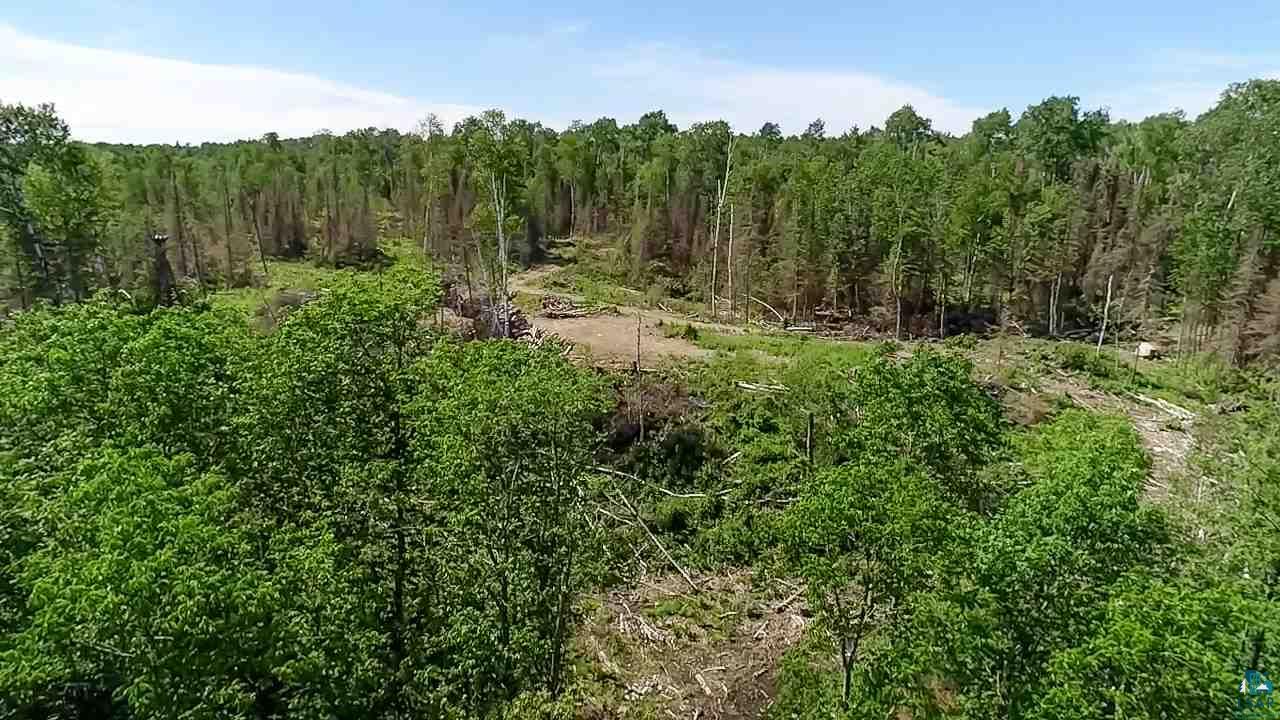 Tbd Fernberg Road Ely, MN 55731 - Photo 23 of 31