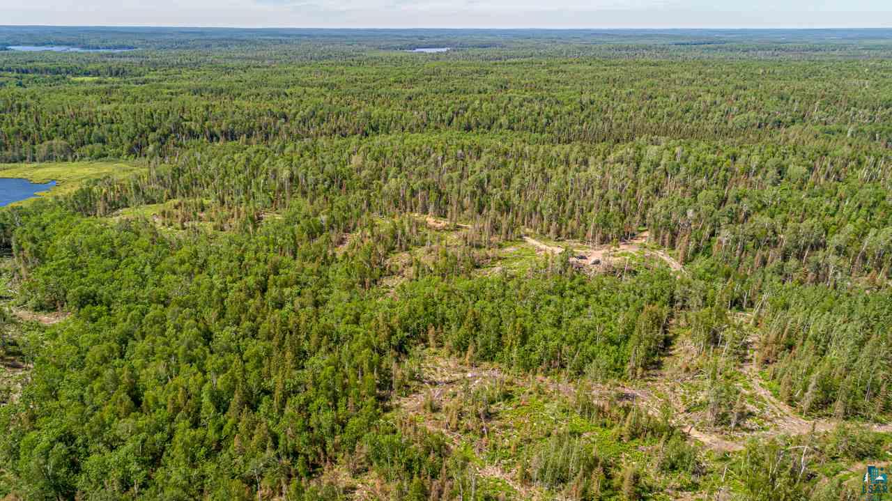 Tbd Fernberg Road Ely, MN 55731 - Photo 4 of 31