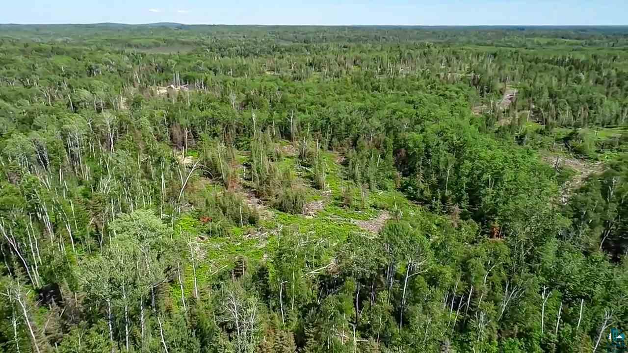 Tbd Fernberg Road Ely, MN 55731 - Photo 7 of 31