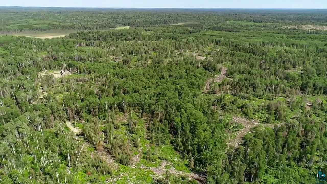 Tbd Fernberg Road Ely, MN 55731 - Photo 8 of 31