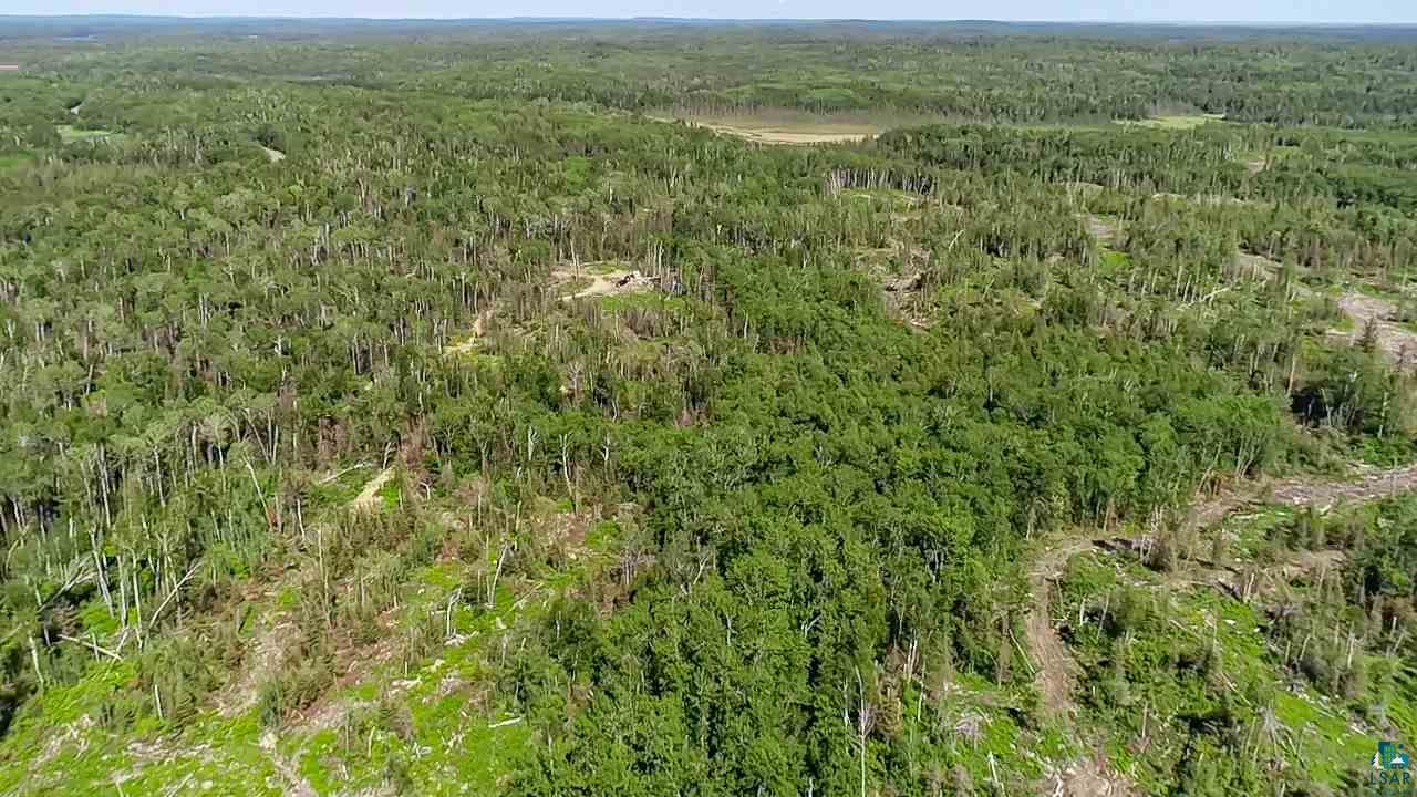 Tbd Fernberg Road Ely, MN 55731 - Photo 9 of 31