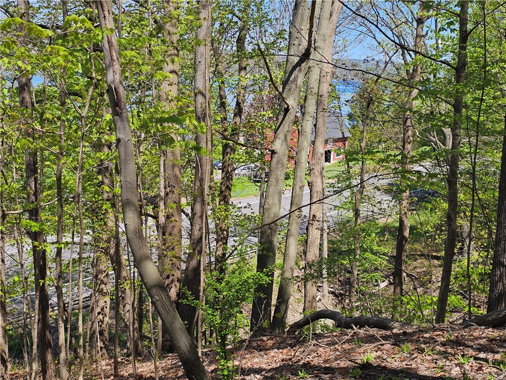 613 East Lake Road Penn Yan, NY 14527 - Photo 5 of 35 KEUKA LAKE THROUGH THE TREES