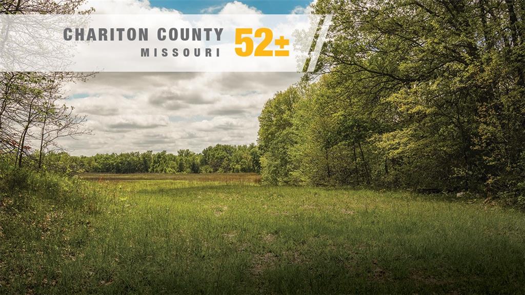 Knox Road Marceline, MO 64658 - Photo 1 of 30 Gallery Image 1