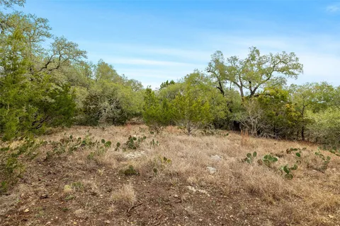 a view of a yard with a tree