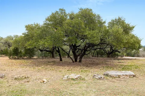a view of a yard with trees