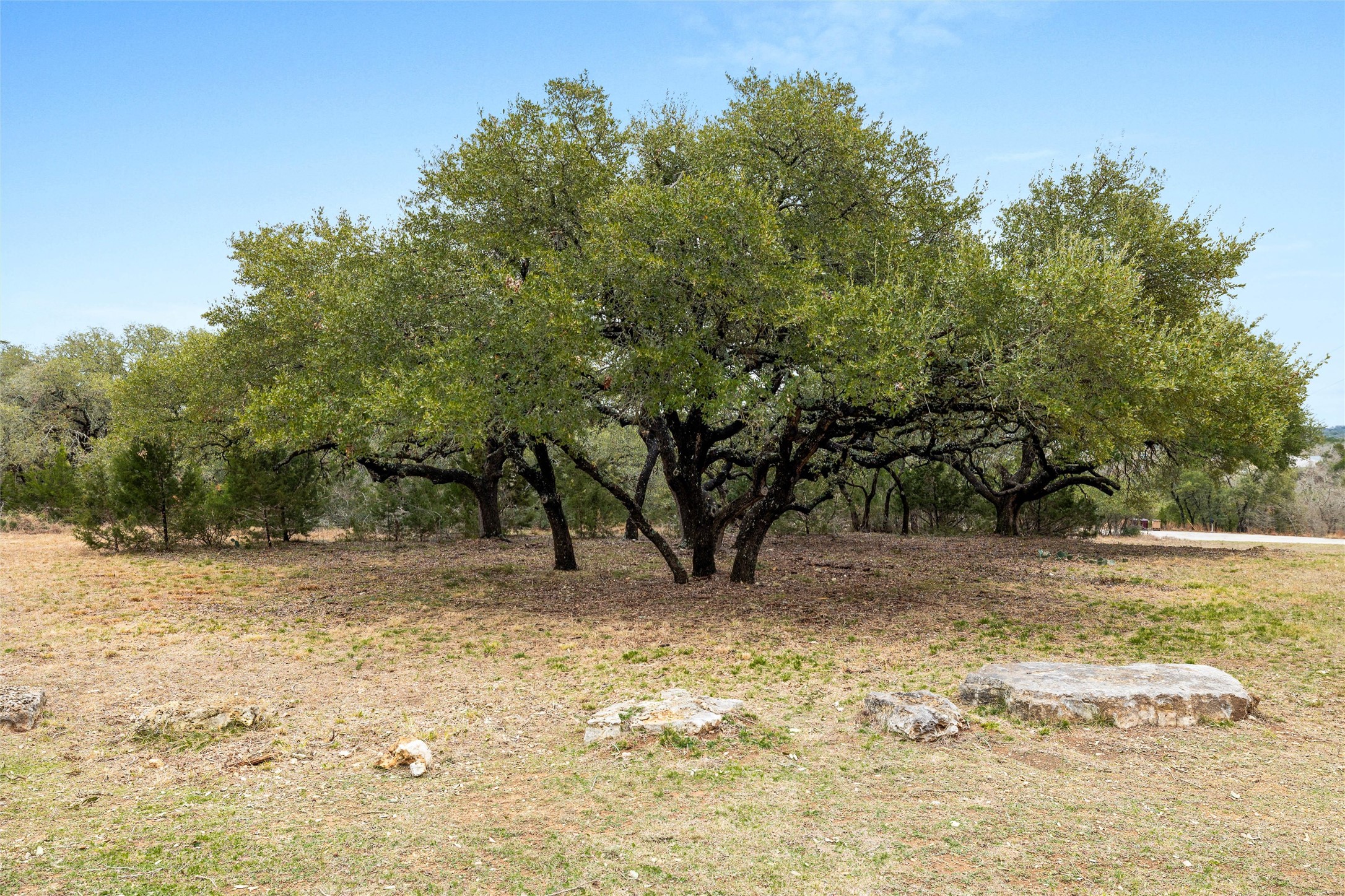 1080 Beauchamp Road Dripping Springs, TX 78620 - Photo 3 of 15 Land clearing was done to show what is possible.