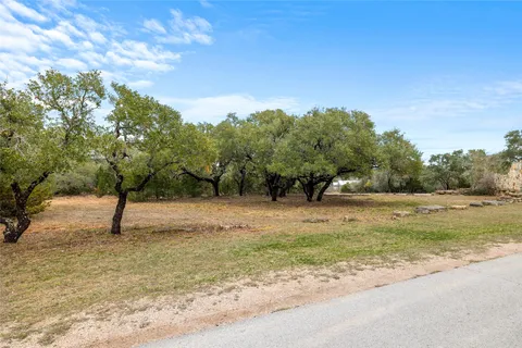 a view of a yard with a tree