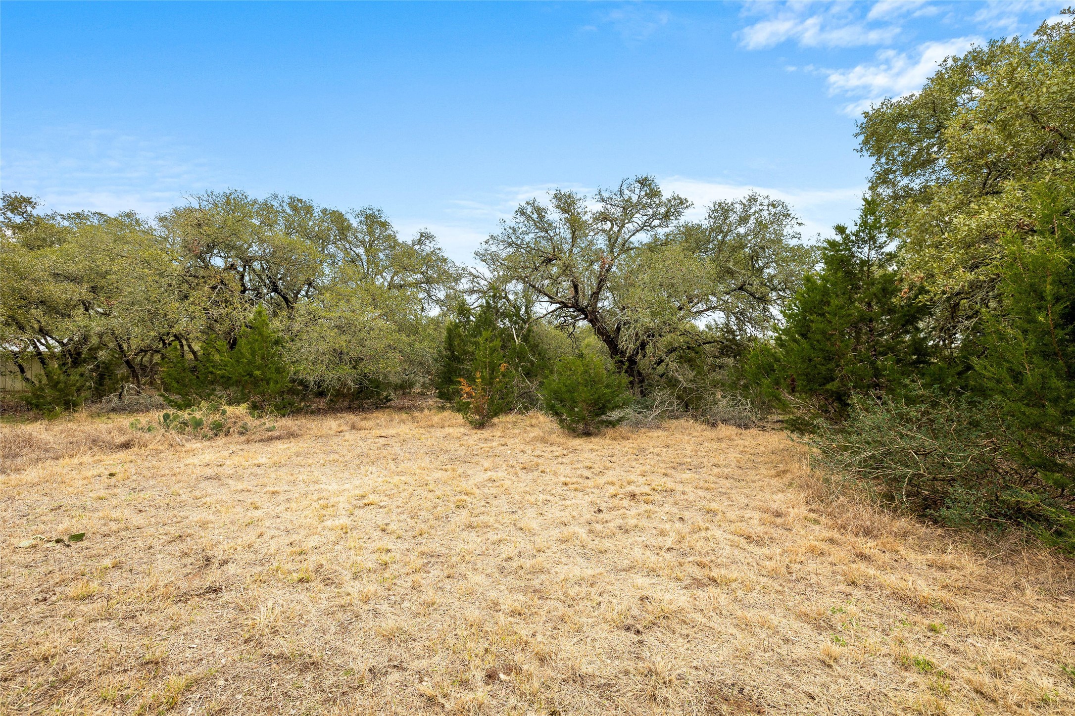 1080 Beauchamp Road Dripping Springs, TX 78620 - Photo 8 of 15