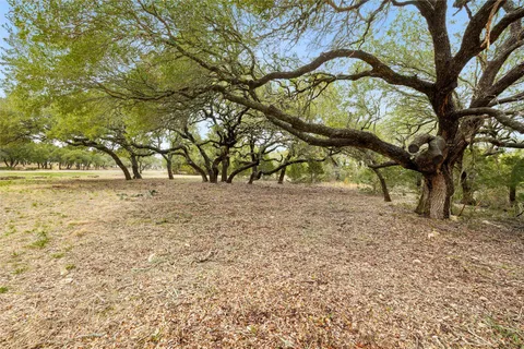 a view of outdoor space with trees