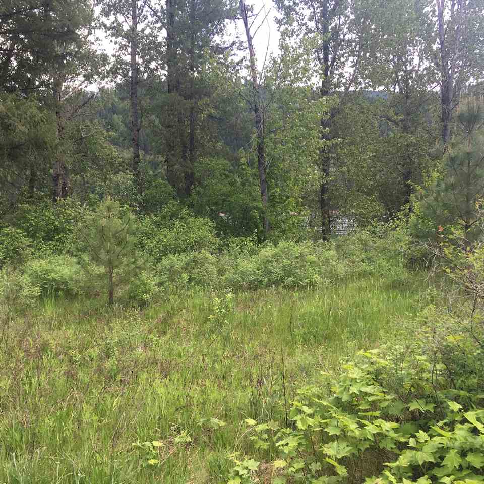 8812 State Rte 31 Ione, WA 99139 - Photo 14 of 19 Gallery Image 14