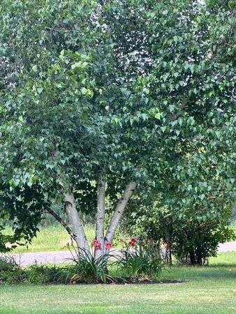 $389,900 | 2124 12 1/4 Avenue, Cameron, WI 54822
