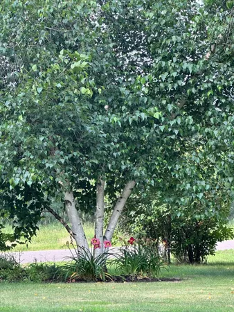 $389,900 | 2124 12 1/4 Avenue, Cameron, WI 54822