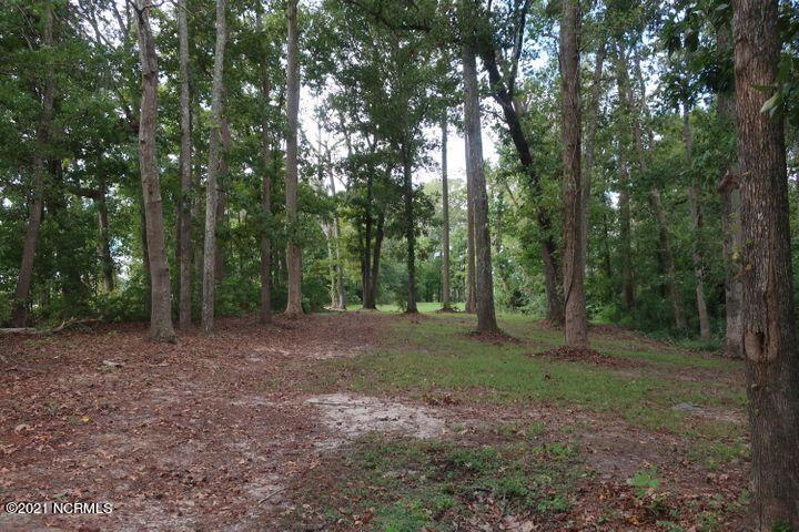 336 Teach's Cove Road Bath, NC 27808 - Photo 11 of 13 004 (1)