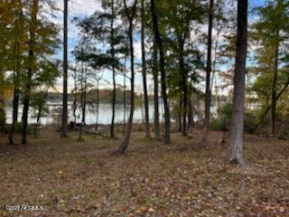 336 Teach's Cove Road Bath, NC 27808 - Photo 3 of 13 010