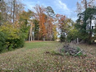 336 Teach's Cove Road Bath, NC 27808 - Photo 5 of 13 011
