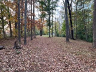 336 Teach's Cove Road Bath, NC 27808 - Photo 6 of 13 012