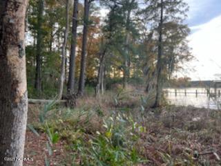 336 Teach's Cove Road Bath, NC 27808 - Photo 9 of 13 014