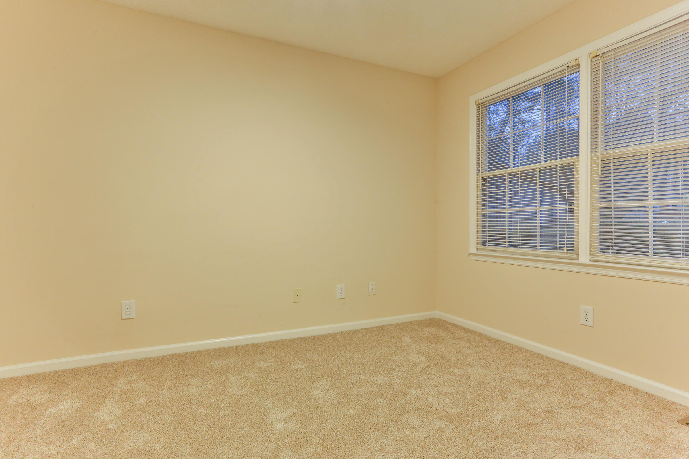 150 Ledbetter Bay Cove Rockingham, NC 28379 - Photo 55 of 60 2Z1A3261