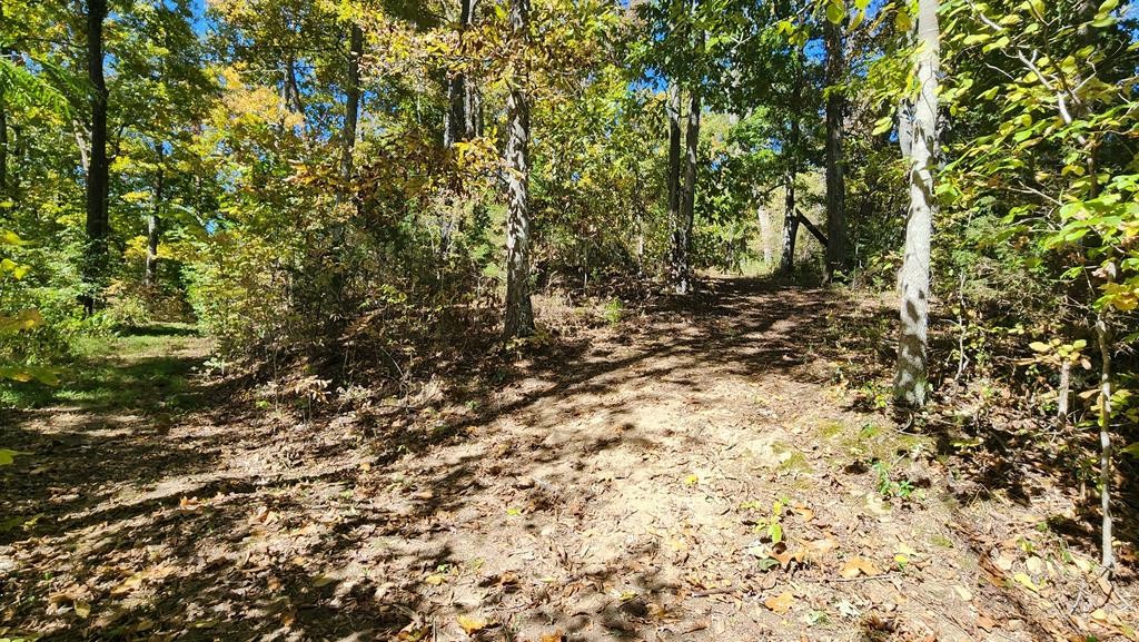 0 Reagan Branch Road Seymour, TN 37865 - Photo 26 of 31