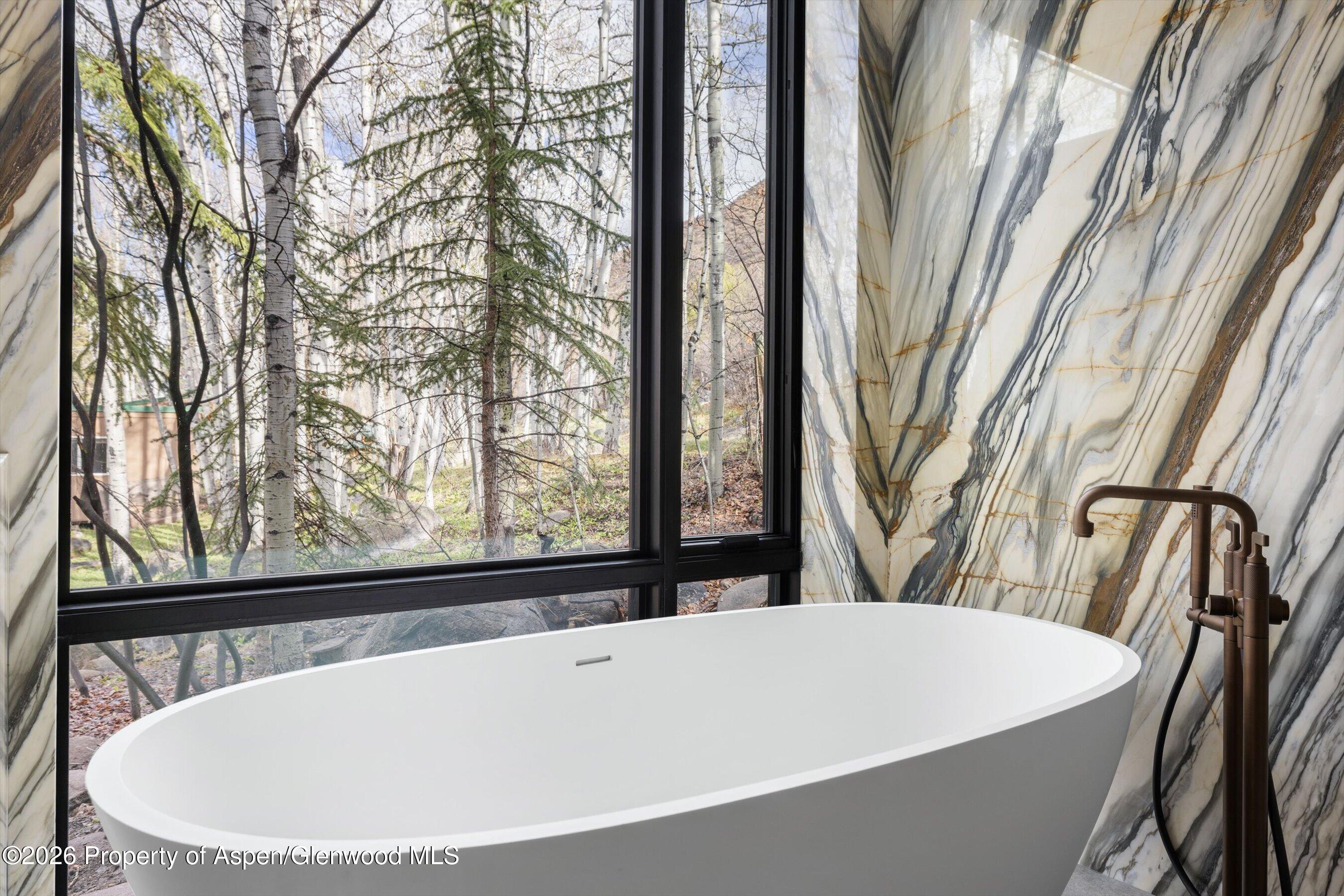 323 East Reds Road Aspen, CO 81612 - Photo 11 of 23 Bedroom 2 Tub