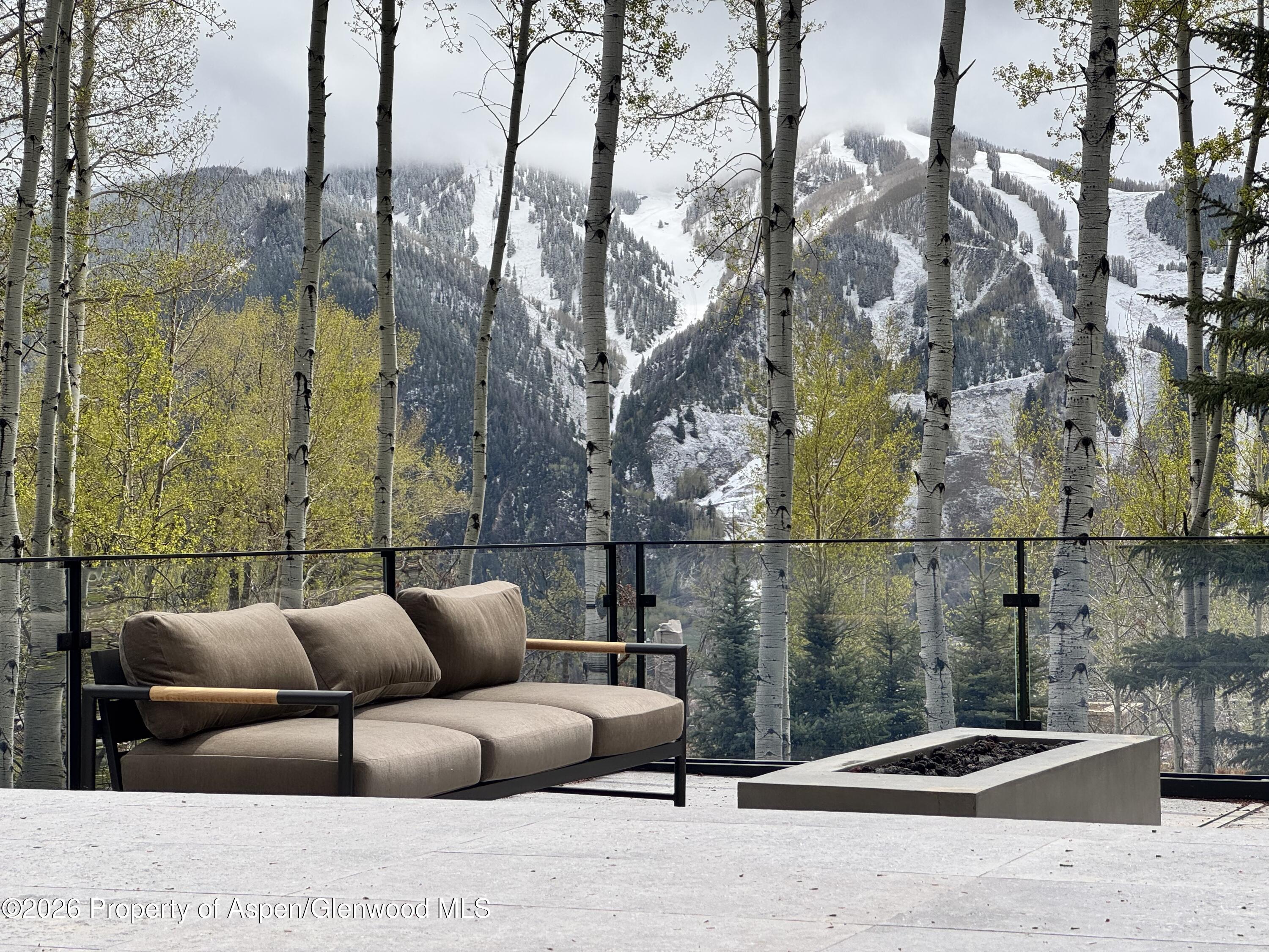 323 East Reds Road Aspen, CO 81612 - Photo 20 of 23 front patio