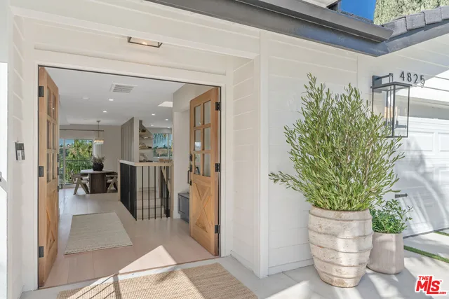 a potted plant sitting in front of a door