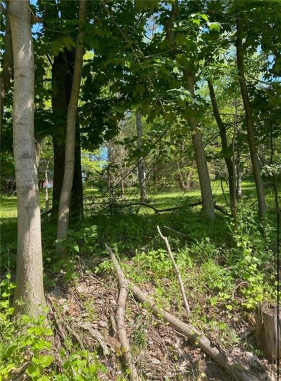 152 Snyder Road Venetia, PA 15367 - Photo 1 of 2 a big yard with lots of green space and plants