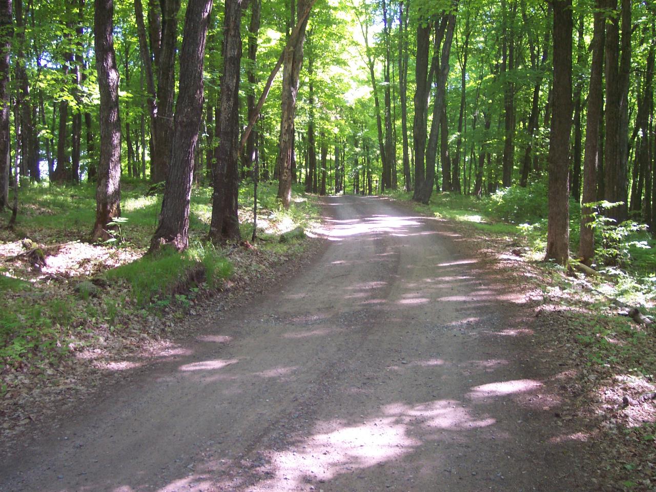 On Big Sand Lake Club Road, Unit LOT 23 Phelps, WI 54554 - Photo 10 of 10 Gallery Image 10
