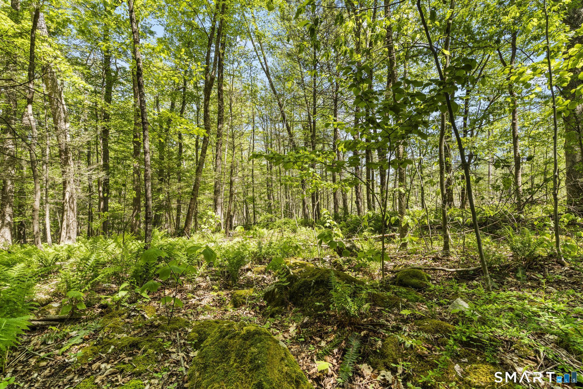 321 Colebrook Road Winchester, CT 06098 - Photo 22 of 39