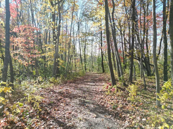 $989,900 | 21094 Keibler Court North, Forest Lake, MN 55025