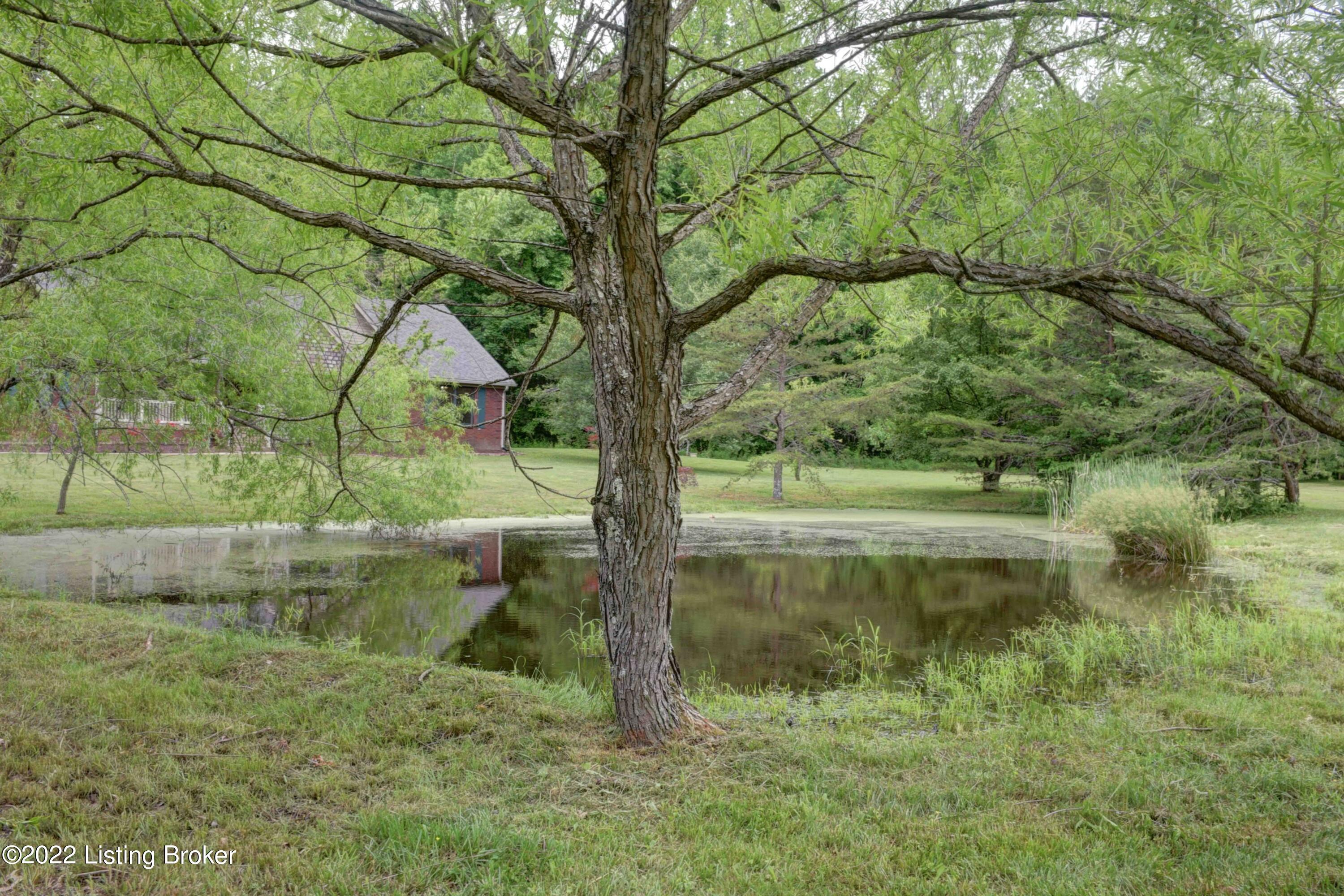 441 Highwater Road Shepherdsville, KY 40165 - Photo 8 of 49 441 Highwater Road-19