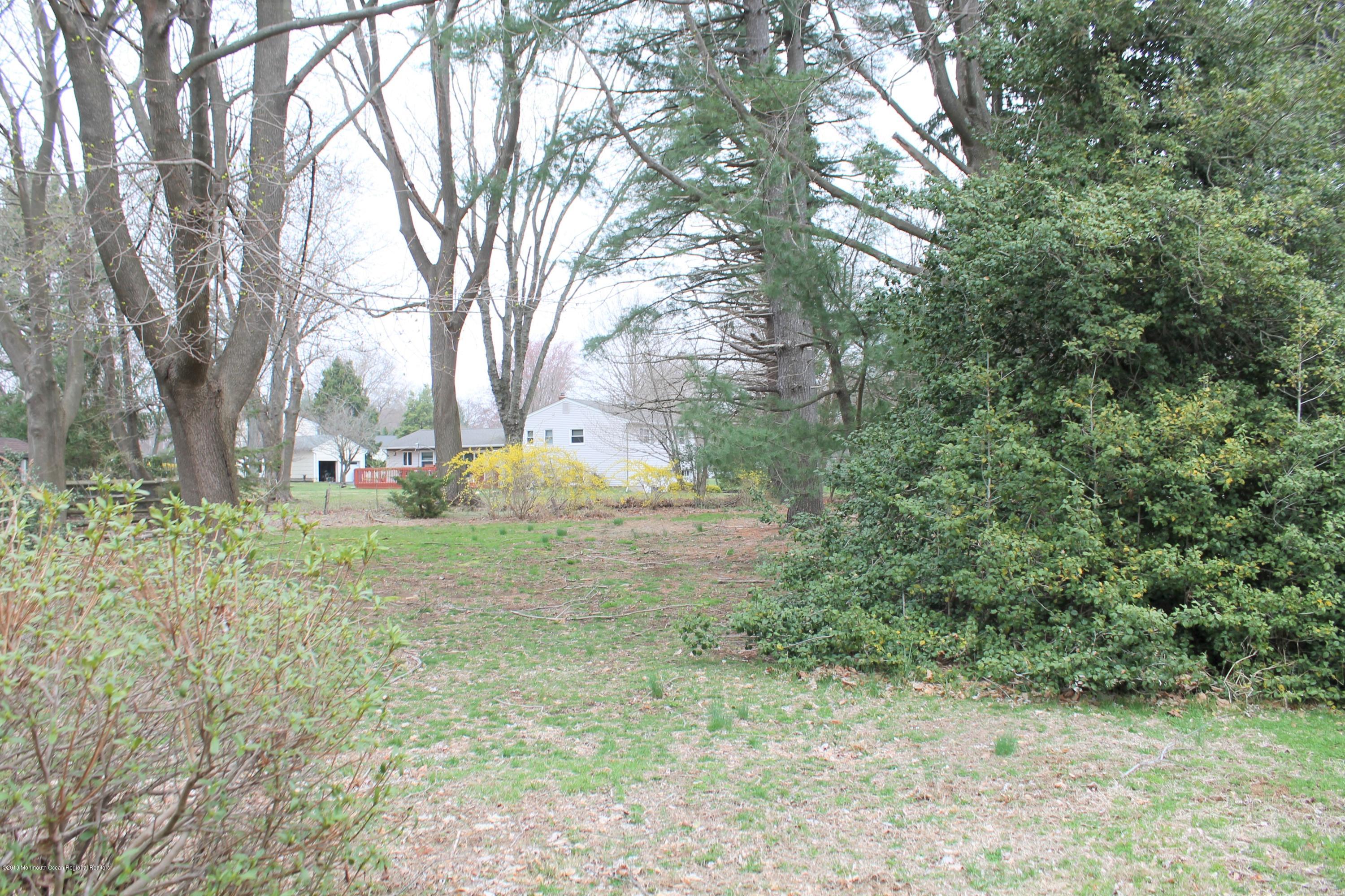 753 Colts Neck Road Freehold, NJ 07728 - Photo 21 of 24 back yard