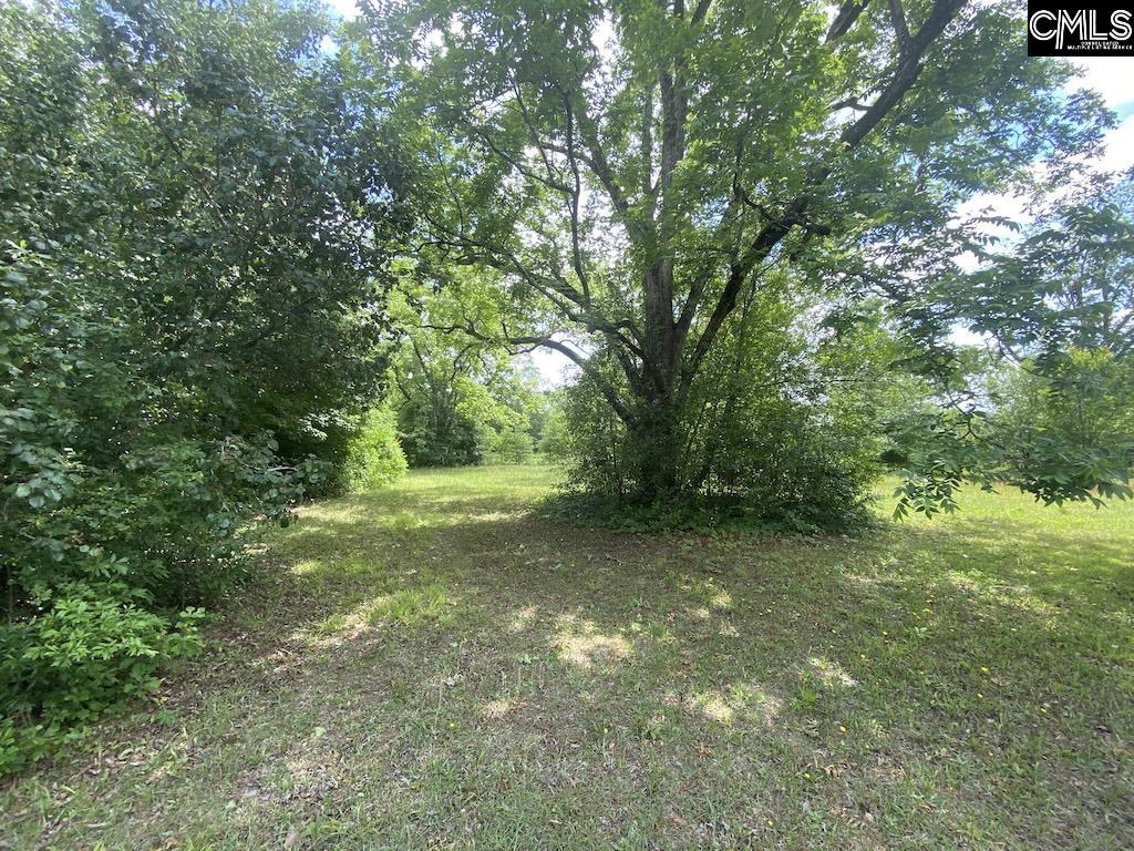 967 Clay Hill Road Pelion, SC 29123 - Photo 9 of 13