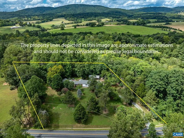 a view of a lush green forest with lots of trees