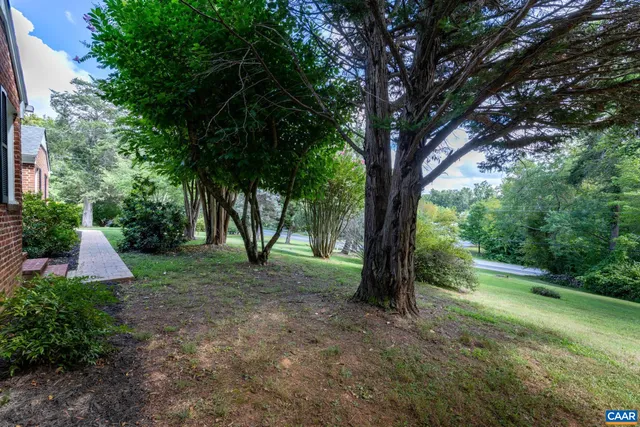 a view of a yard with large trees