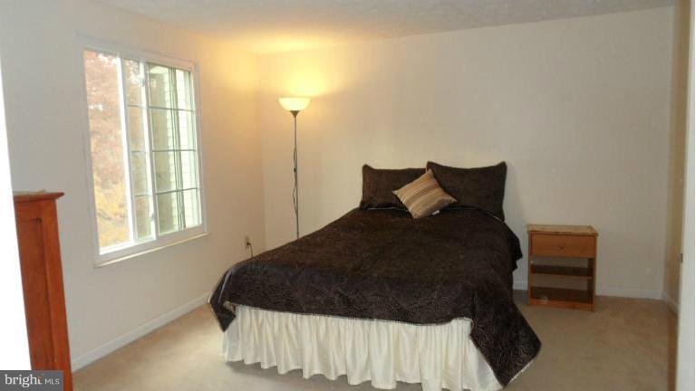 1626 Barnstead Drive Reston, VA 20194 - Photo 10 of 30 Bedroom (Master)