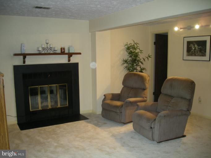 7446 Lone Star Road Lorton, VA 22079 - Photo 20 of 27 Basement