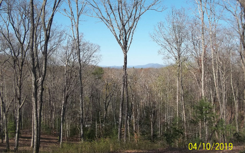 1001 Mangum's Trail Blue Ridge, GA 30513 - Photo 1 of 1 Main View