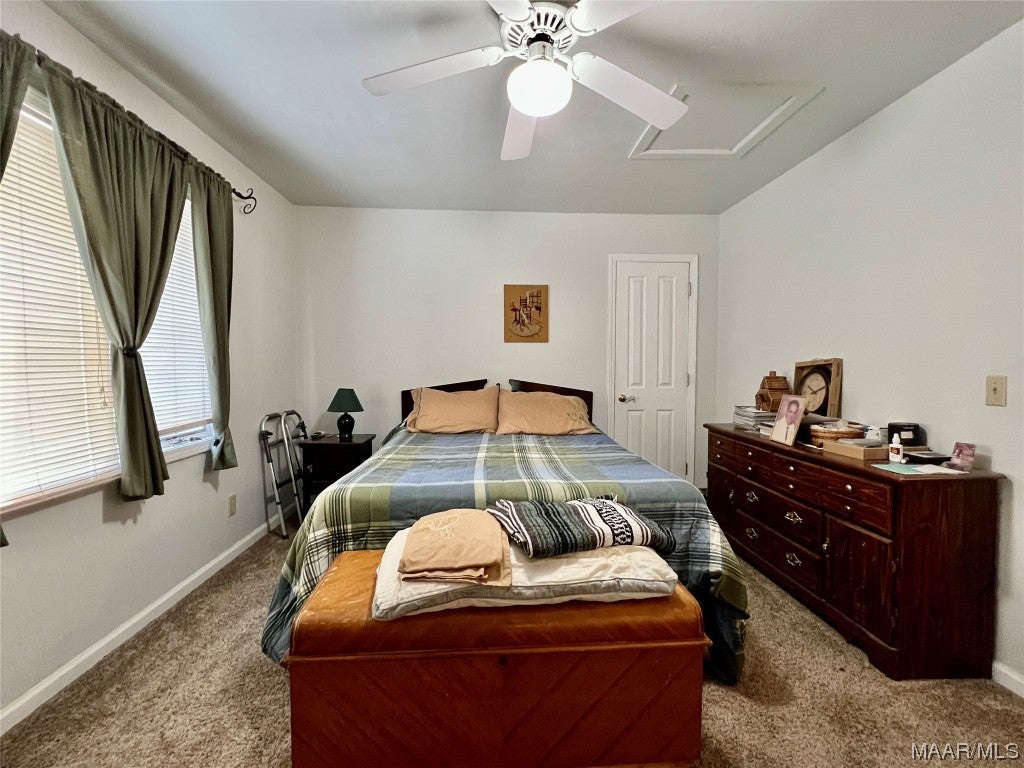 579 Mitchell Road Hartford, AL 36344 - Photo 15 of 49 Gallery Image 15