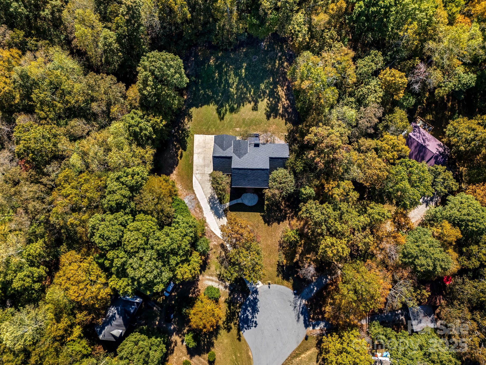 1713 Oak Park Court Iron Station, NC 28080 - Photo 5 of 39 a picture of trees