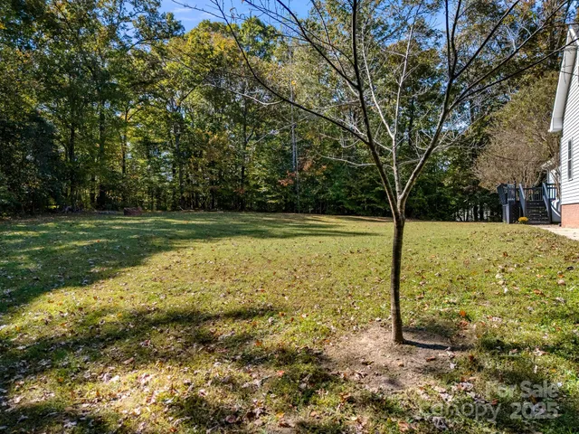 a view of a garden with large trees